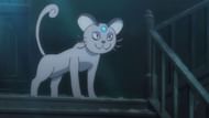 Image via Pokemon Wiki